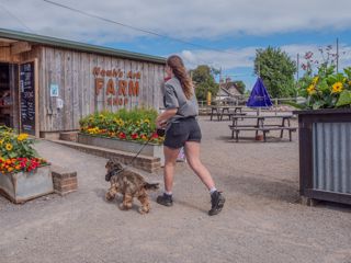 Dogthefarmshop (9)